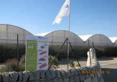 La ditta sementiera Med Hermes Sementi, nei pomeriggi dei giorni 24 e 25 luglio 2014 ha organizzato presso la propria stazione sperimentale a Ragusa due mezze giornate di campo.