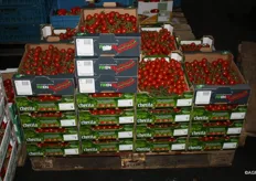I pomodori di VDN e The Greenery di cui i tedeschi vanno matti...