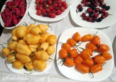 Una carrellata di varieta' mondiali a disposizione di intenditori, curiosi e visitatori.