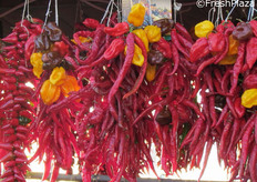 Trecce di peperoncini.