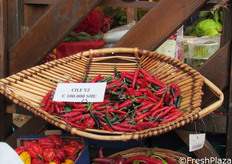 Peperoncino Cile V2, con un grado elevato di piccantezza (Scoville: 100.000).
