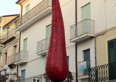 Il Peperoncino Festival e' sentito in tutto il comune di Diamante. Passeggiando per i vicoli, Sua Maesta' e' onnipresente.