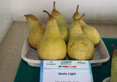 Qui e nelle foto seguenti la mostra pomologica sulle varietà di pere organizzata nell'ambito dell'annuale convegno sull'orientamento delle liste varietali di melo e pero, organizzato venerdi' 19 settembre 2014 da Mipaaf, CRA, Dipartimento di Scienze Agrarie dell'Universita' di Bologna, Fondazione Fratelli Navarra, CIV, CRPV.