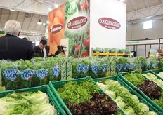 Orto in cucina e' un marchio della OP Guidizzolo.