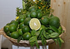 Cesto di bergamotto.