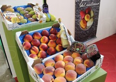 Il Consorzio Euroagrumi ha presentato i suoi cavalli di battaglia...