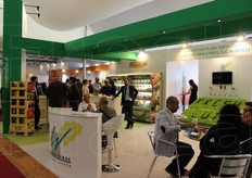 Stand de La Linea Verde.