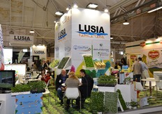 Con 9 imprese, il consorzio di Tutela dell'Insalata di Lusia IGP, e dell'Aglio Bianco Polesano DOP, il Mercato Ortofrutticolo e l'Amministrazione Comunale, Lusia si e' presentata a Macfrut 2014, la rassegna dedicata al mondo dell'ortofrutta, con un uno stand arredato e personalizzato per distinguere la proposta diversificata che e' in grado di offrire Lusia e la sua filiera.