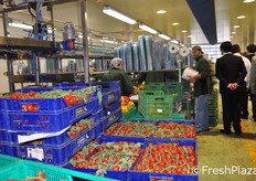 Prosegue la visita all’interno dell’azienda di Fondi.