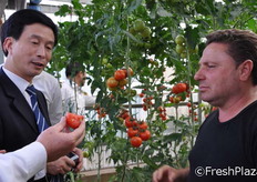 Clemente Mazzone fa degustare i propri pomodori.