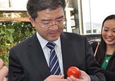 La degustazione del pomodoro entra nel vivo.