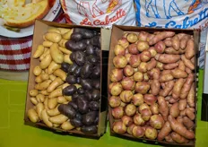 Alcune varieta' di patate presso lo stand Pom'Alliance.
