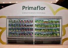 Una parte della gamma prodotti Primaflor esposta in frigorifero.