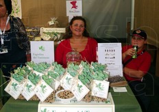 Fagiolina del Trasimeno.