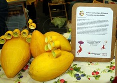 Il Melone Cartucciaro di Paceco.