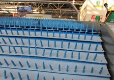 Particolare di Ortomec serie 8600.