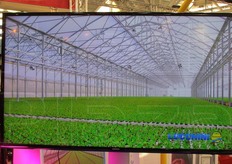 Lo spazio espositivo di Idromeccanica Lucchini, una delle società leader e all'avanguardia nella produzione di serre coperte in materiale plastico, per orticoltura e floricoltura