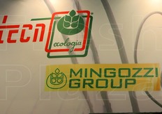 Officine Mingozzi di Bando, in provincia di Ferrara e' tra le aziende selezionate nell'ambito del bando emanato da Enama con il Mipaaf, per lo sviluppo di linee di meccanizzazione innovativa, grazie a un progetto per la bonifica e la disinfezione dell'ambiente di coltivazione del kiwi mediante riscaldamento istantaneo del legno di potatura in grado di ridurre il rischio batteriosi.