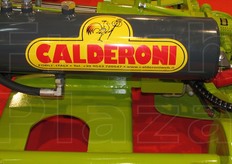 Il galletto simbolo della citta' romagnola.