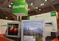 BayWa ha presentato la sua offerta di reti antigrandine e accessori.