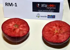 Ad Interpoma, vivai Escande in collaborazione con la compagnia Kiku hanno presentato la mela a polpa rossa RedMoon Surprise.