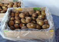 Kiwi a marchio Zespri in esposizione.