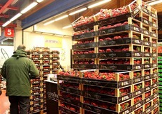 Nella prima mattina del 5 marzo 2015, presso lo stand Spreafico nel Centro Agroalimentare di Bologna ha preso vita l'Operazione Lovers, l'iniziativa che il Club Candonga ha riservato ai grossisti ortofrutticoli e ai loro migliori clienti amanti della Candonga Fragola Top Quality (R), eccellenza della fragolicoltura italiana. Un'iniziativa giocata sull'amore, il sentimento che lega le Candonga e i propri consumatori; tra i due, figurano i grossisti, novelli cupido.