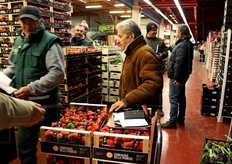 Come FreshPlaza ha potuto rilevare, la Candonga va forte, specie la Candonga Fragola Top Quality(R)e lo dimostrano le vendite: offerta di prodotto tutta esaurita.