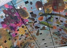 Le decorazioni mozzafiato della volta, con gigantografie di flora e fauna.