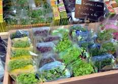 Micro-ortaggi freschi della Koppert Cress.