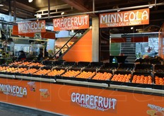 Uno stand tutto dedicato agli agrumi a stelle e strisce: Minneola dalla California e pompelmi dal Texas.