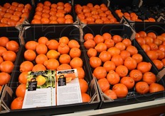 I prodotti sono forniti anche di schede informative.