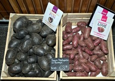 Patate viola e rosse.