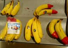 Le banane eco-organic si distinguono da quelle tradizionali grazie alla loro punta cerata.