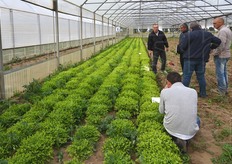 La fase della visita tecnica in campo.