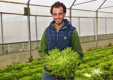 Alessandro Tiozzo in campo con un cespo di Timehal RZ. Il peso di ciascun cespo si aggira intorno al chilogrammo.