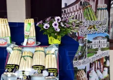 Qui e nelle foto seguenti, l'esposizione degli asparagi del territorio nella piazza di Badoere (TV).