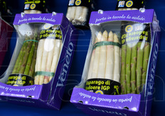 La zona di produzione dell'Asparago di Badoere IGP e' compresa tra le provincie di Treviso, Padova e Venezia e interessa i comuni di Morgano, Mogliano Veneto, Quinto di Treviso, Zero Branco, Vedelago, Casale sul Sile, Casier, Istrana, Paese, Preganziol, Treviso, Resana, Piombino Dese, Trebaseleghe e Scorze'.