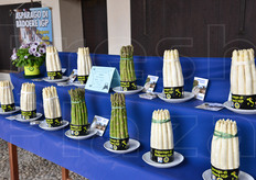 L'asparago trova il suo habitat naturale nel terreno limaccioso tipico delle zone alluvionali. Proprio qui, dove scorrono fiumi di risorgiva quali il Sile, il Dese e lo Zero, la ricchezza delle acque e le temperature temperate favoriscono la sua coltivazione.