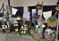 Allestimento creativo con asparagi e altri elementi.