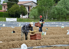 Il prodotto viene subito incassettato.