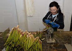 Fase di creazione di un mazzo di asparagi verdi.
