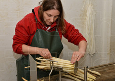 Fase di creazione di un mazzo di asparagi bianchi.
