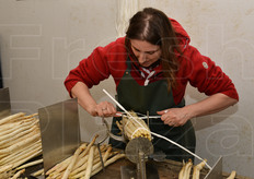 Legatura del mazzo con rafia.