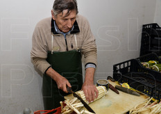 Taglio della base del mazzo per pareggiare i turioni. Il mazzo di asparagi bianchi deve misurare 22 cm massimo; quello verde 27 cm massimo.