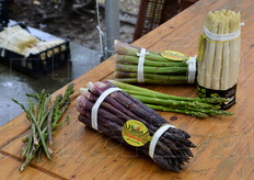 Asparagi viola, bianchi, verdi e selvatici a marchio Fantin.