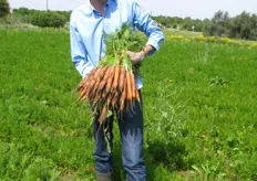 Wim Zwaan, breeder Bejo Zaden, con Natuna a Rosolini. Bejo ha sempre avuto una grande tradizione nella carota, in Sicilia.