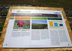 Operation Pollinator e' un progetto di Syngenta che fornisce indicazioni per creare nuovi habitat e fonti di cibo per gli insetti impollinatori con l'obiettivo di aumentarne il numero all'interno degli areali agricoli.