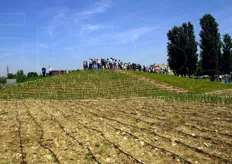 Visitatori sulla collina dei cereali irrigati con sistema a goccia Netafim.