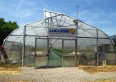 Serra realizzata dall'azienda Lucchini di Mantova per il progetto Demo Field. Nella serra, si coltivano fragole e pomodoro da mensa fuori suolo.